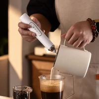 Mousseur à lait sans fil électrique, mixeur portatif de type C, mini cafetière en acier inoxydable, fouet mélangeur pour café, cappuccino, crème 2