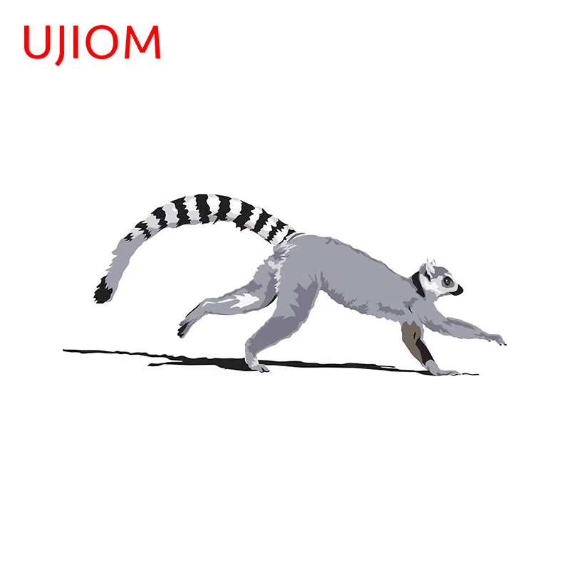 UJIOM Lemur Sticker Vinyl Wall Art Decal Home Decoration Kids Bedroom Wall  Removeable Wallstickers Decor Decals