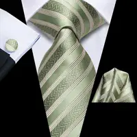 Cravate rayée vert sauge pour homme, avec pochette de costume et boutons de manchette, accessoire de smoking, cravate de luxe classique pour homme, cadeau 2