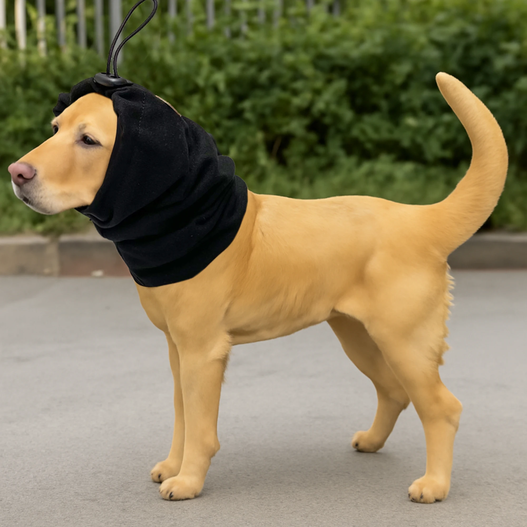 Dog Noise-Reducing Scarf Hat 2