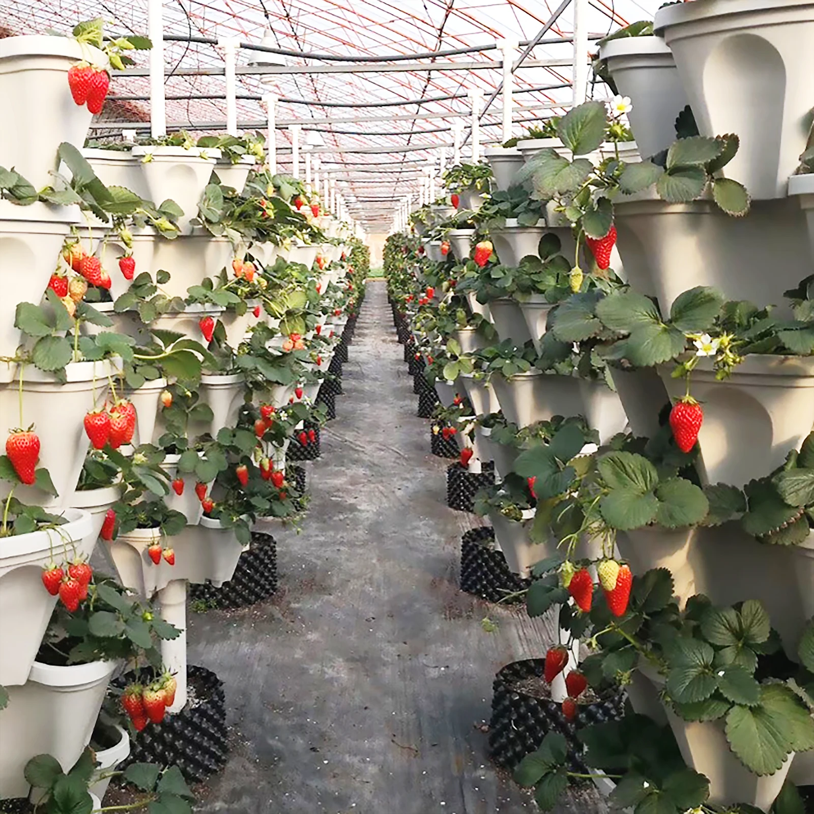 Stackable Vertical Planter Planting Nursery Pots for Garden Strawberry