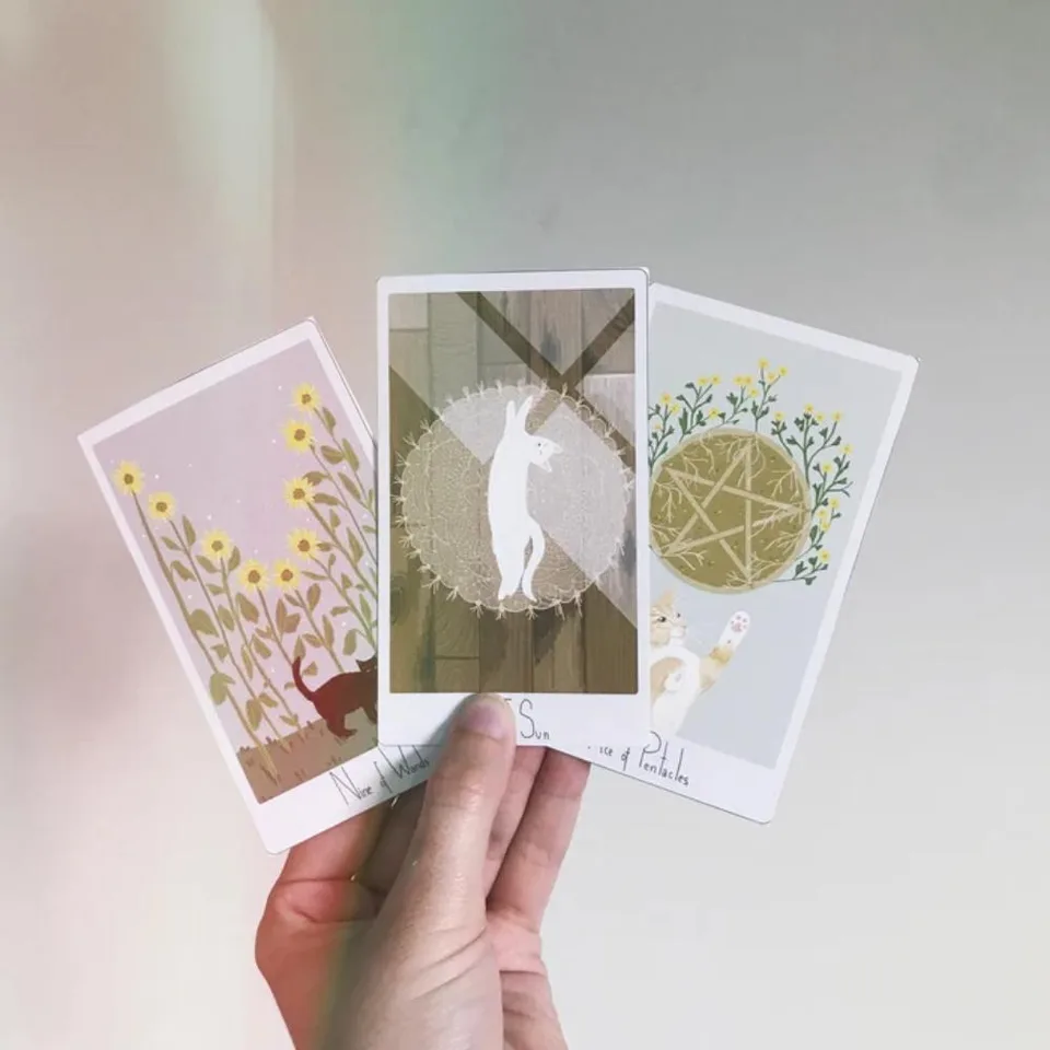 趣味・スポーツ・実用 considerate cat TAROT 10.3*6cm Considerate Cat Tarot 78 Pcs Cards A Whimsical Cat