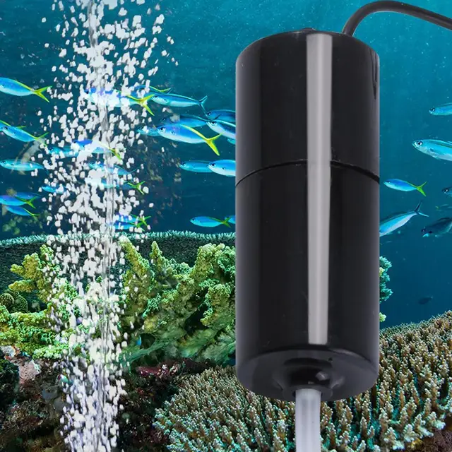 Mini Wasser Pumpe Tauch Batterie-Betrieben Aquarium Pumpe Mit Uniform  Luftblase 5V USB Wasserpumpe Kleine Oxygenator für Kleine - AliExpress