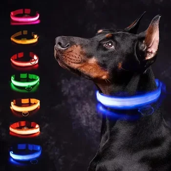 Rechargeable LED Pet Collar 1