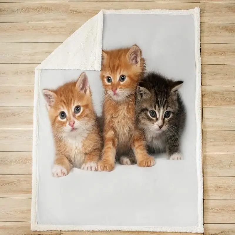 ������ �θ��� ���, ��� ������ ����Ʈ ���� ������ ���, �ҳ� �ҳ� ���, �Ϳ��� ���� ������ ���� ���, �ؼ��� ������