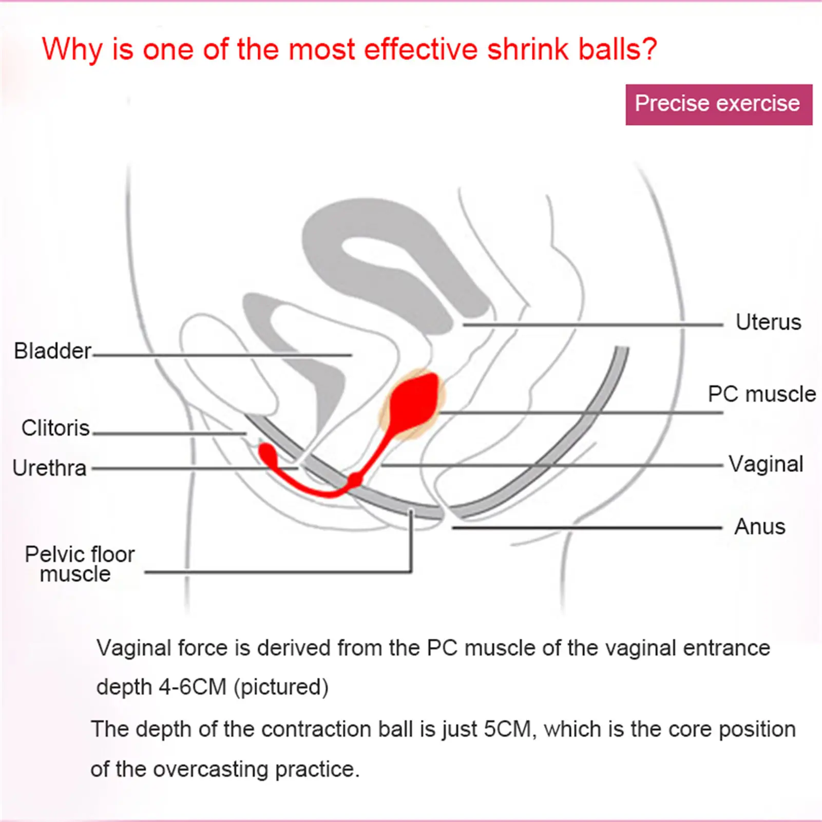 Pelvic Floor Exercises Floor Trainers Support Urinary Incontinence Muscle Tightening & Pelvic Prolapse for Postpartum Repair