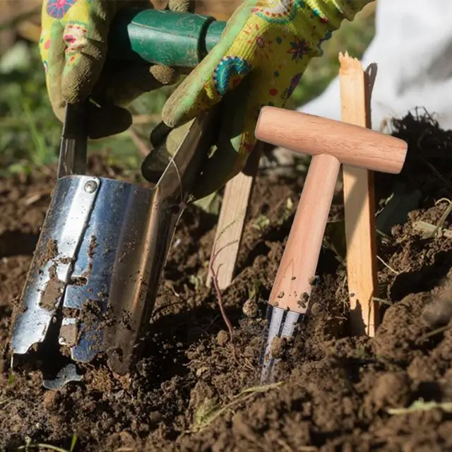 2Db Izzó Ültetvény Szerszám Kézi Ásó Palánták Eltávolító Emelő Vetőmag Ültetvényes Palánta Nyitó Izzók Szerszámok - Image 2