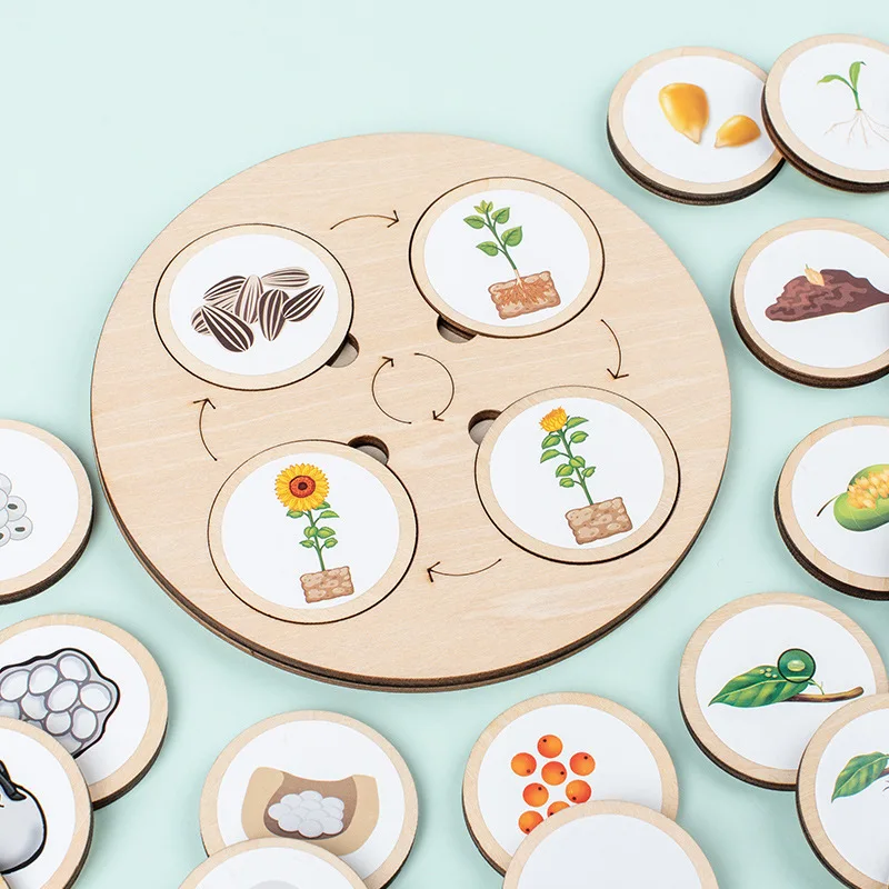 

Animal Life Cycle Board Montessori Kit Biology Science Education Toys for Kids Sensory Tray Animal Figure Sorting Wooden Toy