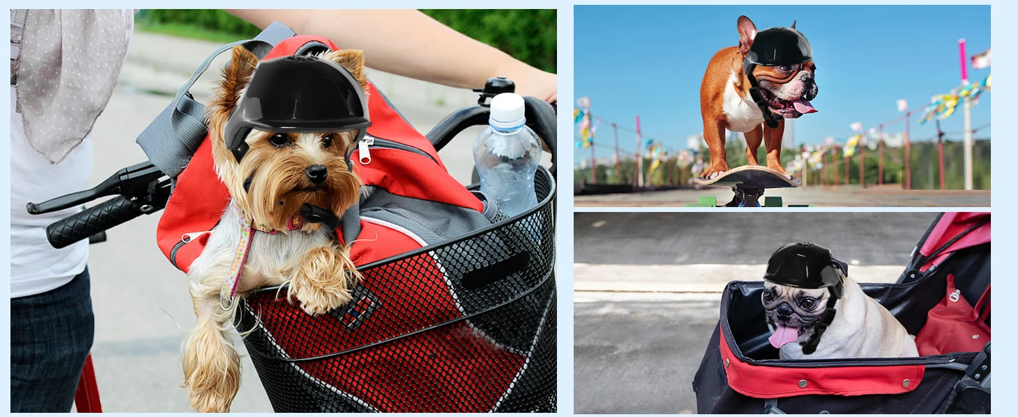 hat for dog
