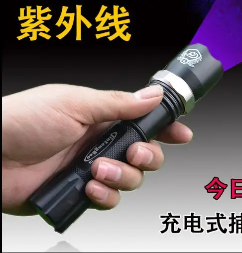 L'Uso Della Torcia Elettrica Ha Condotto La Luce Ultravioletta Della Luce Dello Zoom Ricaricabile Ultravioletti Lente Ottica Colla Lente Colla Tv Retr