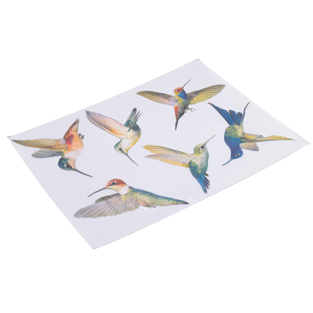 6 Pcs Lrge Size Bird Window Clings Anti-Collision Window Clings Decals to Prevent Bird Strikes on Glass