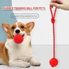 Natural Rubber Dog Toy Balls Reward Pets on Ropes for Training/playing/chewing Solid Teeth Cleaning Toys 1