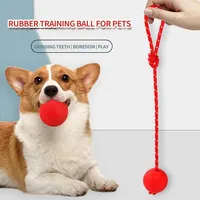 Natural Rubber Dog Toy Balls Reward Pets on Ropes for Training/playing/chewing Solid Teeth Cleaning Toys 1