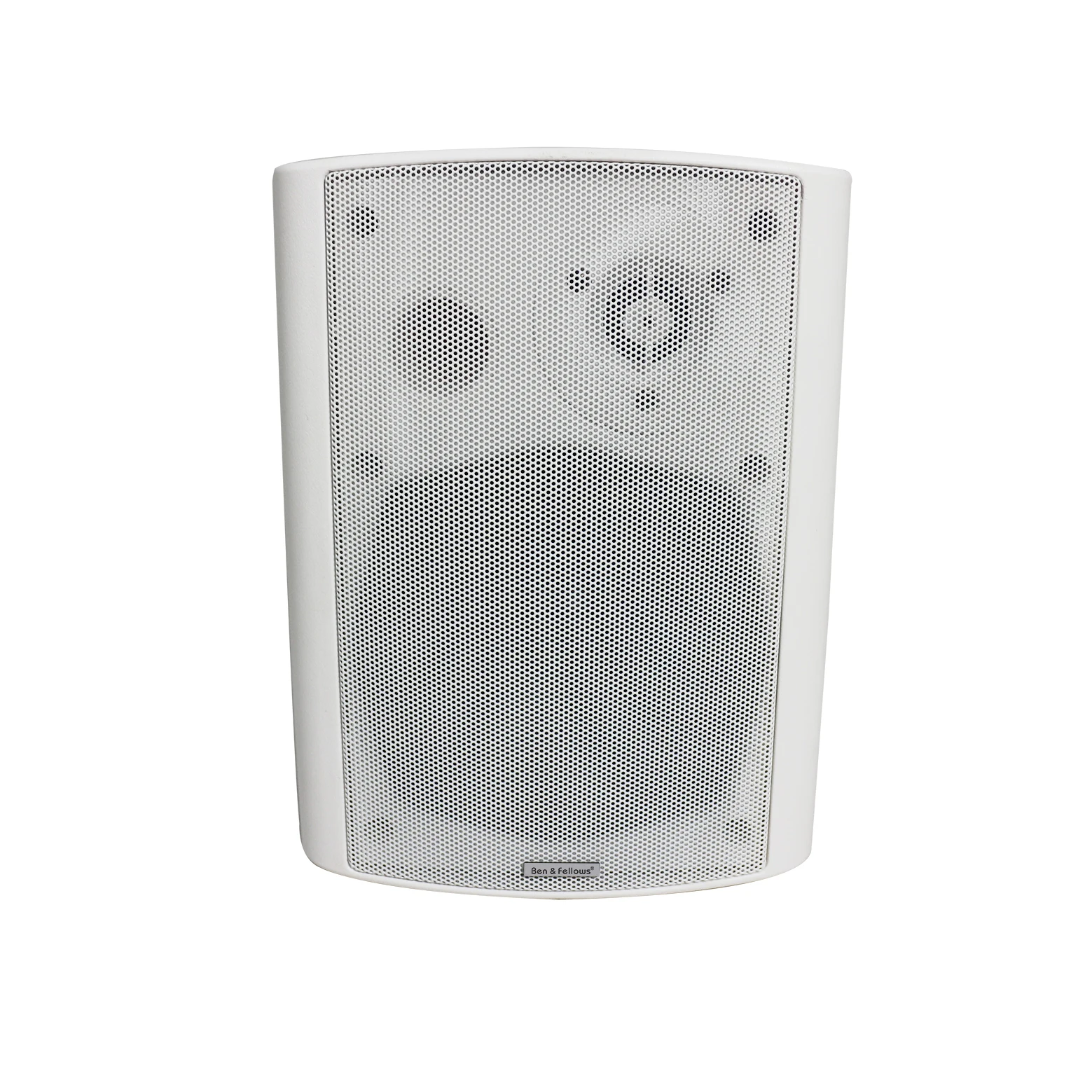 Dante Audio 100M 1000M Bps Amplificatore Integrato Altoparlante Da Parete Alimentato 2X30W