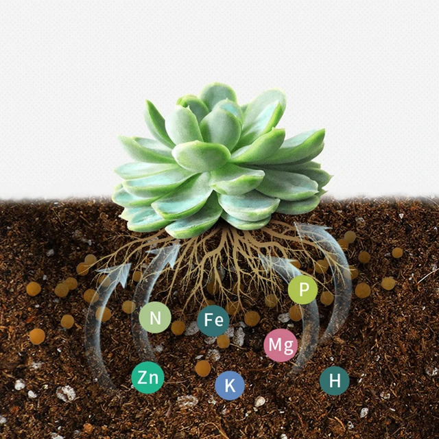 250 G Gyökérzetű Növényi Virág Műtrágya Talaj Aktivált Kincs Aktivátor Ásványi Forrás Megakadályozza A Gyors Gyökérport - Image 3