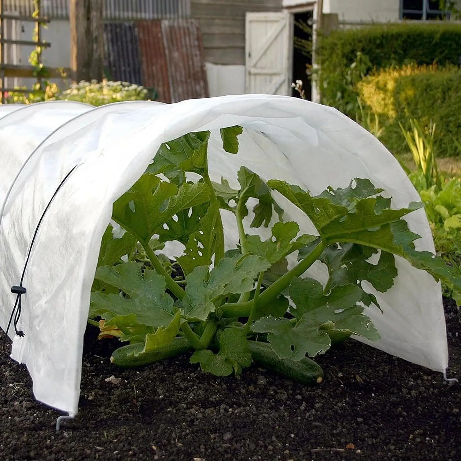 Mini drivhustunnel hageklokke tunneldeksel allsidig drivhus bøyle plantedeksel for hagearbeid frukt utendørs blomster Mini Greenhouse Tunnel Garden Cloche Tunnel Cover Versatile Green Houses Hoop Plant Cover for Gardening Fruit Outside Flowers