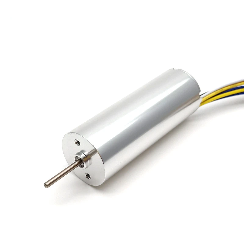 

Large Torque 24V Hollow Cup DC Brushless Motor 2-Pole Double Ball 2260 Hollow Cup Brushless Motor