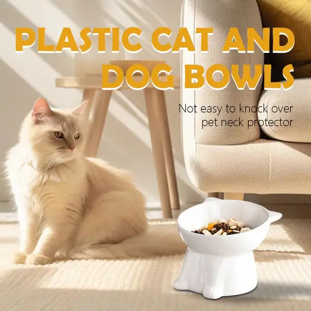 Black Cat Bowl Amazon Ceramic Cat Bowl Pet Bowl Pet Supplies Cat Bowl Dog Bowl Macaron Color New Cat and Dog Universal Pet Bowl 3