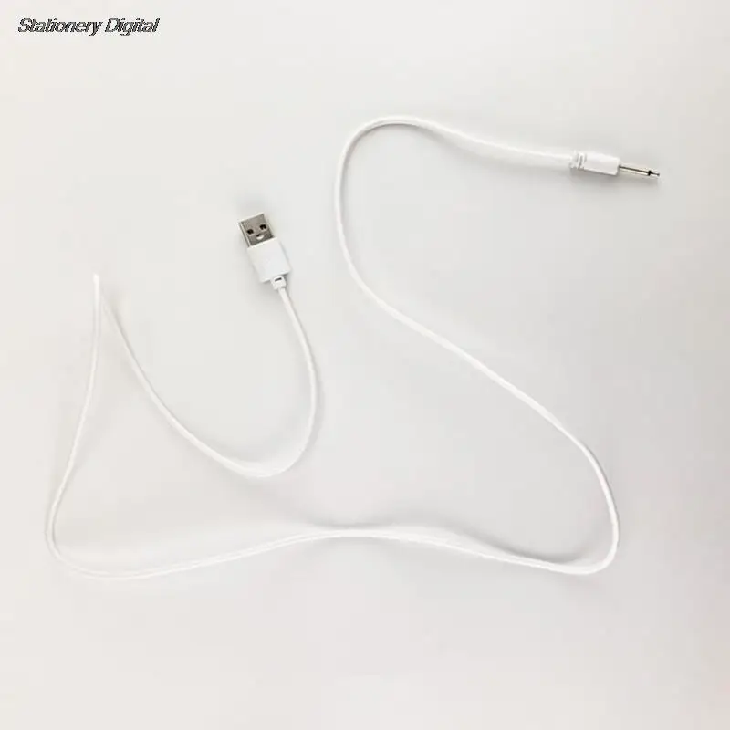 1m Universal Rechargeable USB DC 2.5 Vibrator Charger Cable Cord for Adult Toys Vibrators Massagers Accessories USB Power Supply