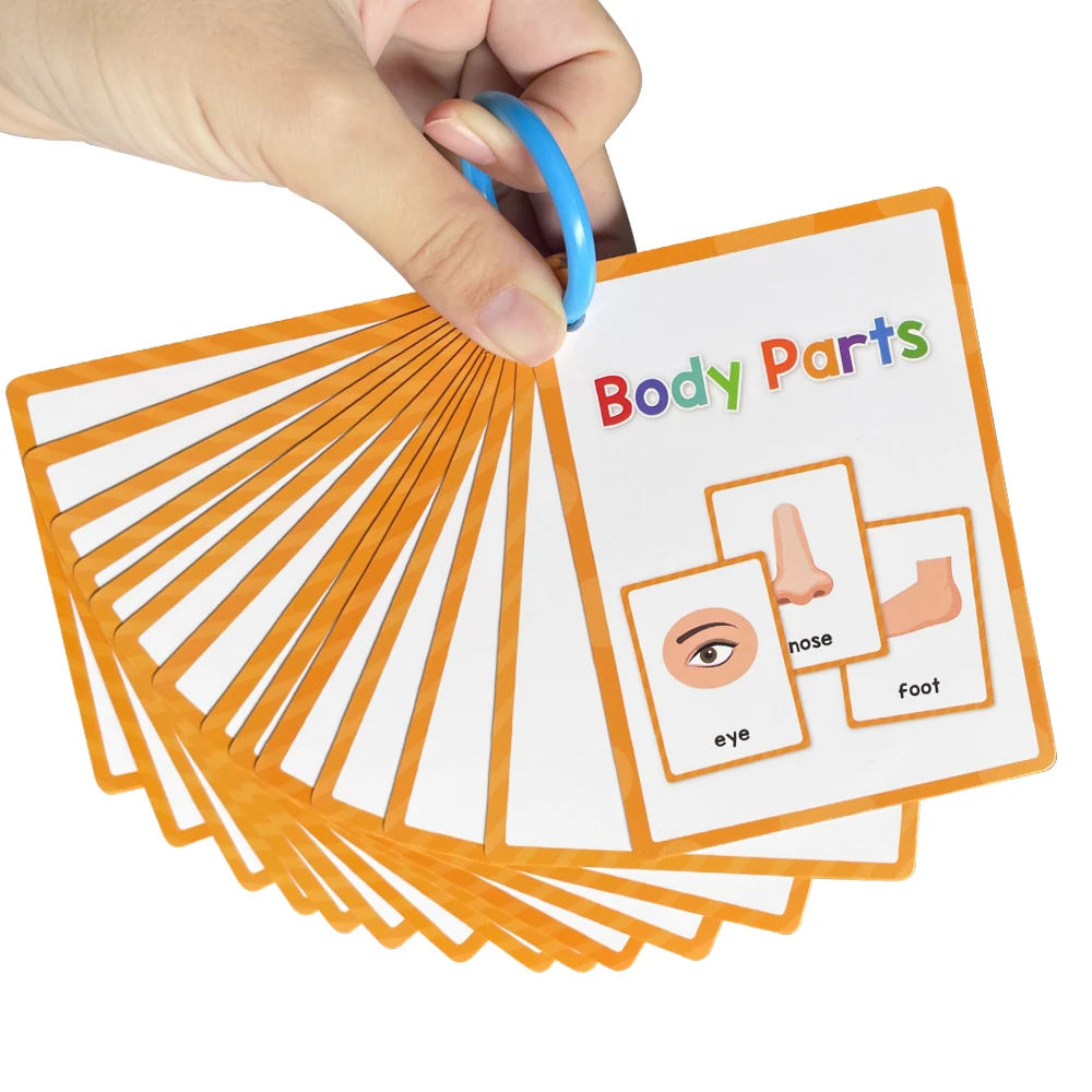 英語学習用 Picture Cards セット fdd38a077917cd8dff90774a049c95