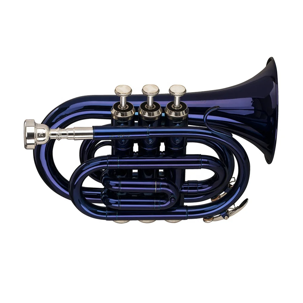 

SEASOUND OEM синий мини карманный трубочный инструмент JYPT406BL