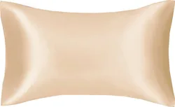 Silky Soft Satin Pillowcase Cover - Luxurious Multicolor Bedding Accessory - 2pcs 48x74cm (Champagne)