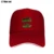 I Bleed Green And Go Greenbay Packers Football Fan Bill Hats Bill Hats Street Wear Fashion 17