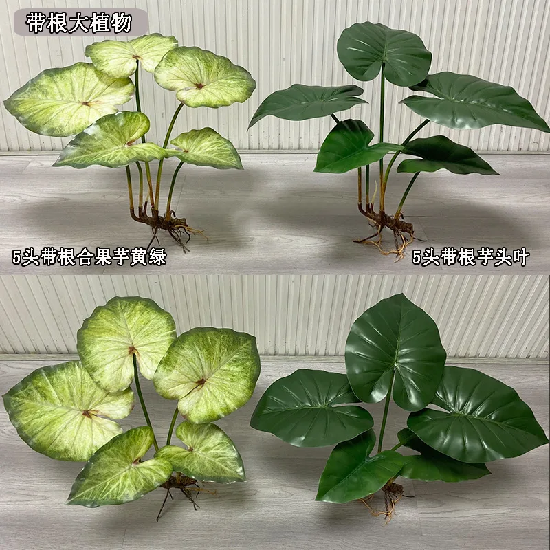 low indoor plant stand Japandi Tri-leg Plant Stands