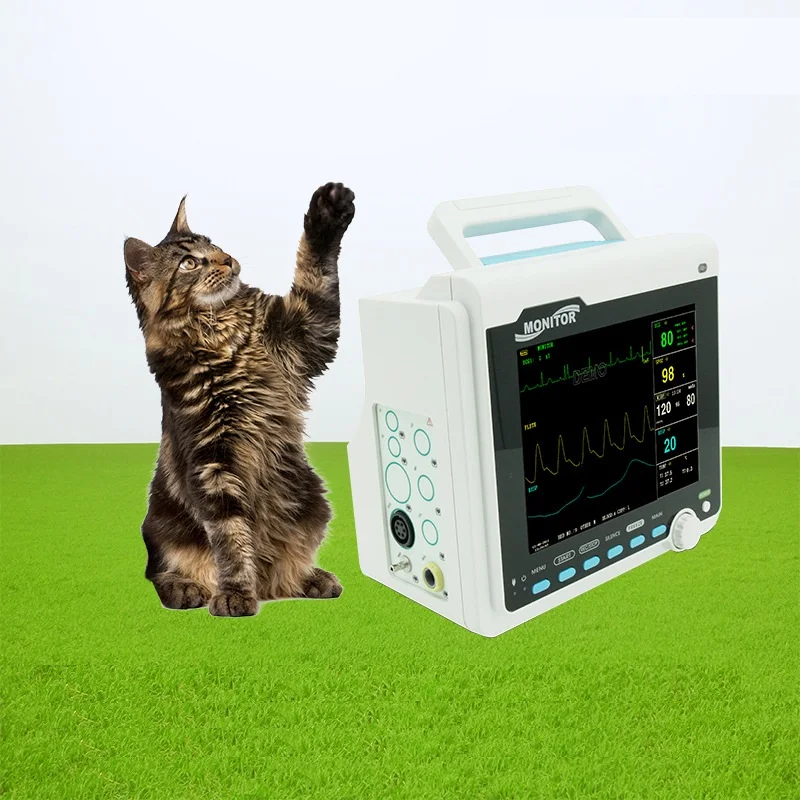 

8"TFT Color Lcd Portable Veterinary Animals Pet Cats And Dogs Blood Pressure Heart Rate