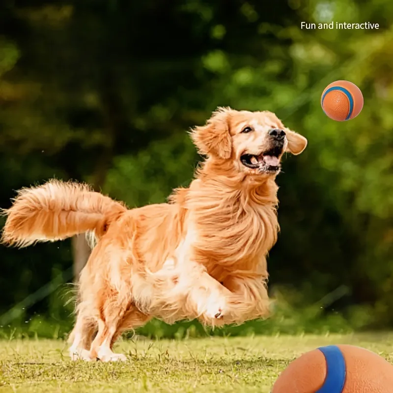 Balle jouet résistante pour animaux de compagnie, balle à mâcher pour chiots, balle élastique solide, accessoires pour animaux de compagnie GWFD09_voghion.com