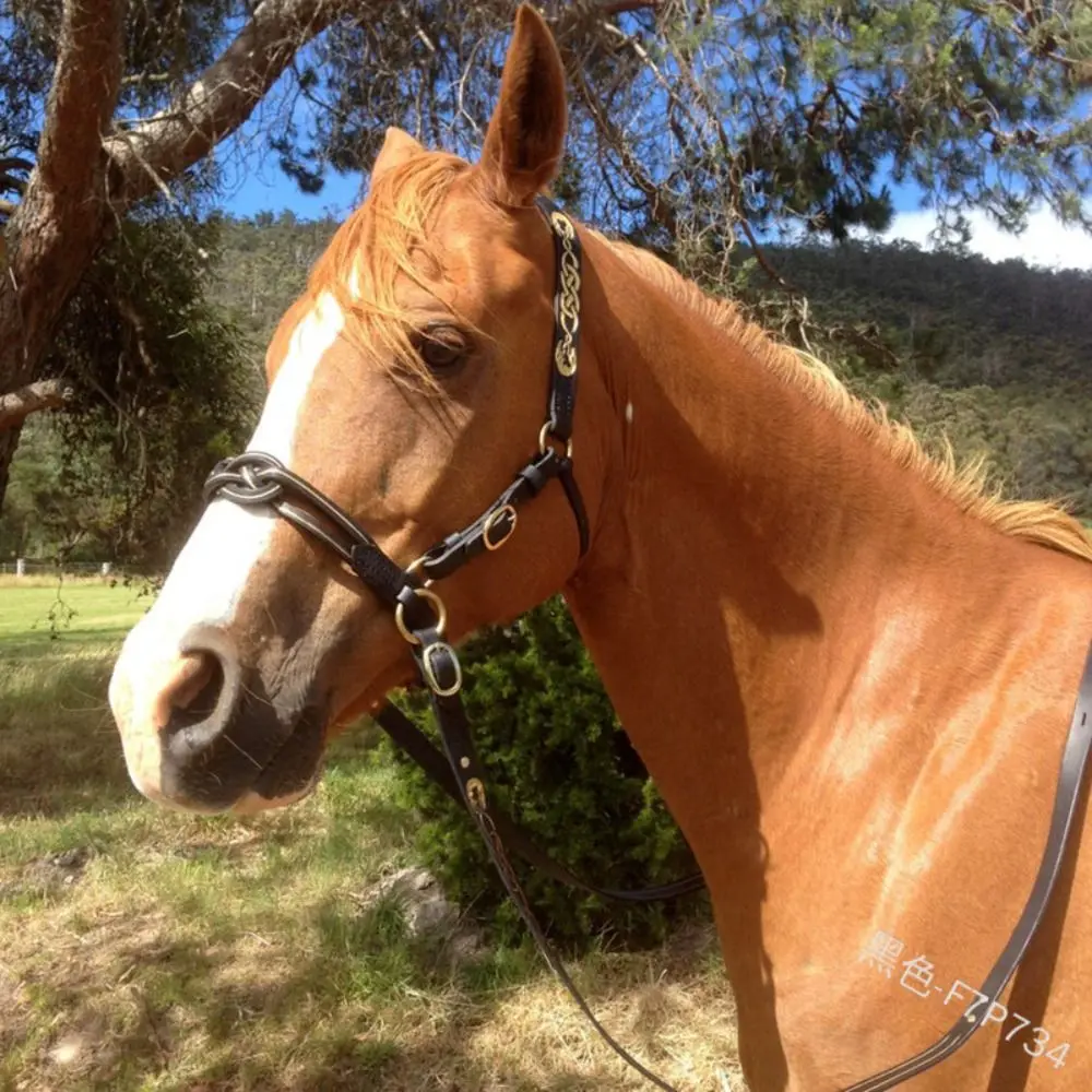 PU Leather Horses Bridle Halters horse riding equipment horse riding halter Metal Buckle Comfortable Horse Head Curtain Adjustable Protecting Horse Skin Rein Harness