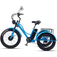 Tricycle électrique pour adultes, batterie amovible, portée de 65km, 750w, 48W, Transmission à 7 vitesses, 24 pouces, vélo électrique pour la neige et la graisse 2