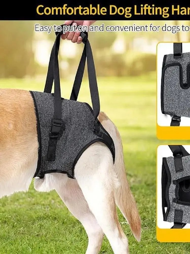 Best-Selling Pet Products For Injured Dogs With Hind Legs Support And Forrly injured dog rehabilitation straps with traction as
