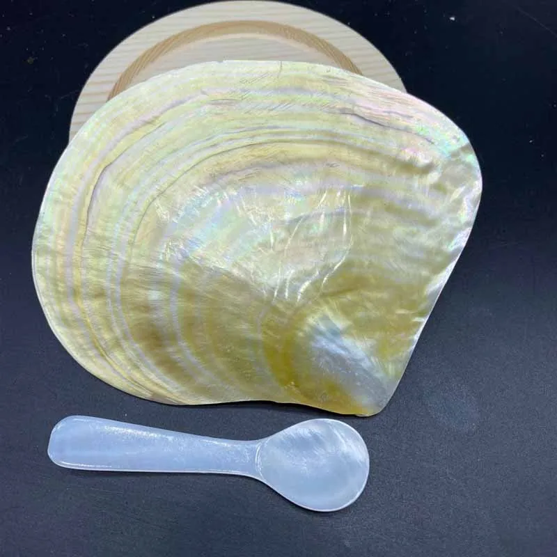 Natural Polished Yellow Pearl Shell And Spoon Creative Home Decoration Photography Props Crafts Caviar Tableware