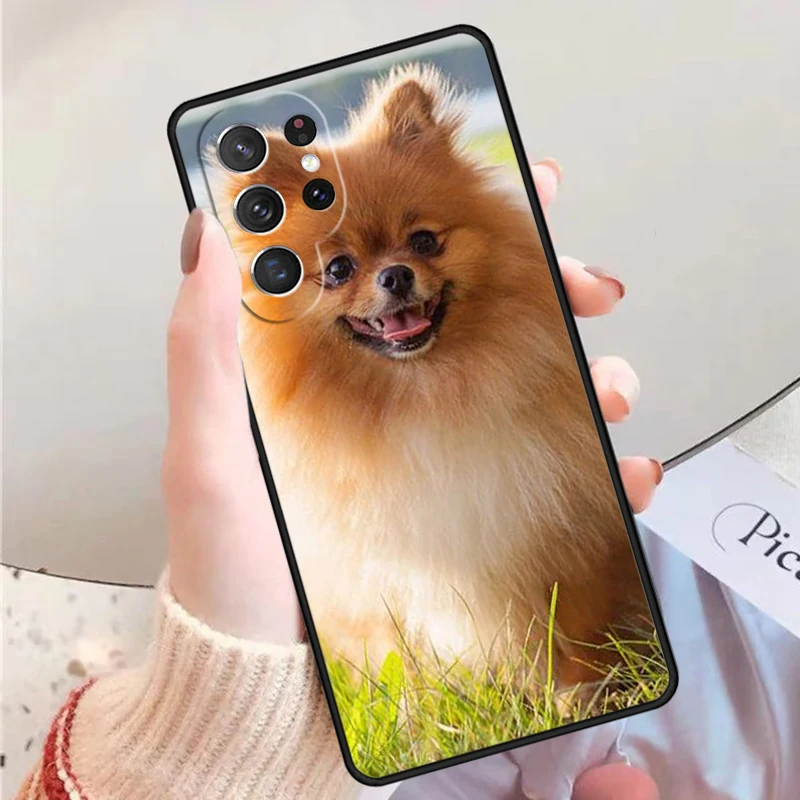 禁断のポメラニアンさ専用 楽天市場】【anifull 公式】 アニサポ ハーレスト ブラック S