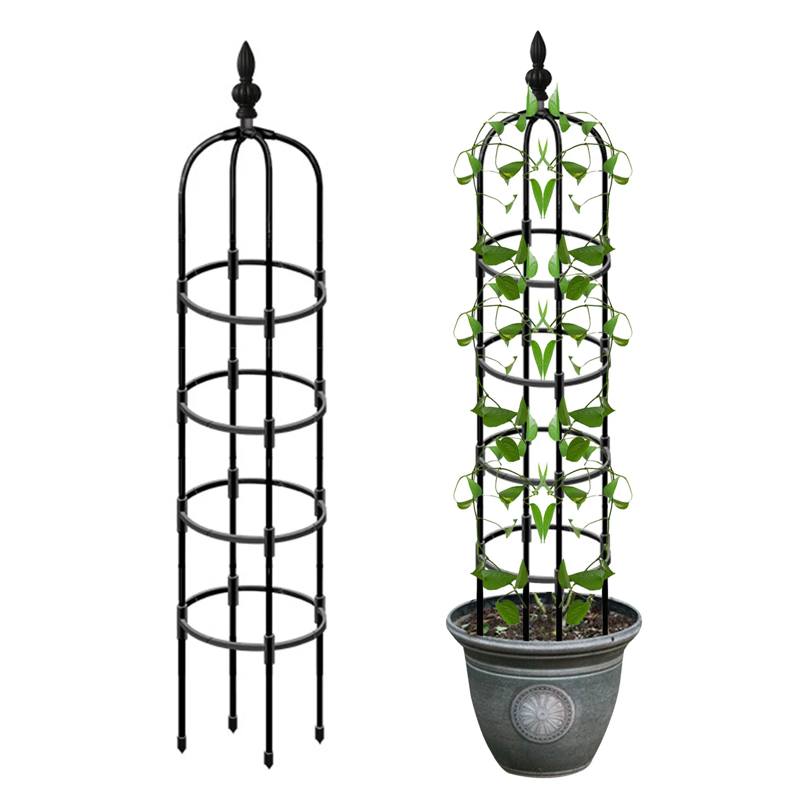 Obelisk Plant Climbing Plant Vine Rack Garden Plant Climbing Trellis