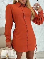 Elegant Flip Collar Button Long Sleeved Dress Women's Button Shirts Style Dress Temperament Spring Autumn Dresses 6