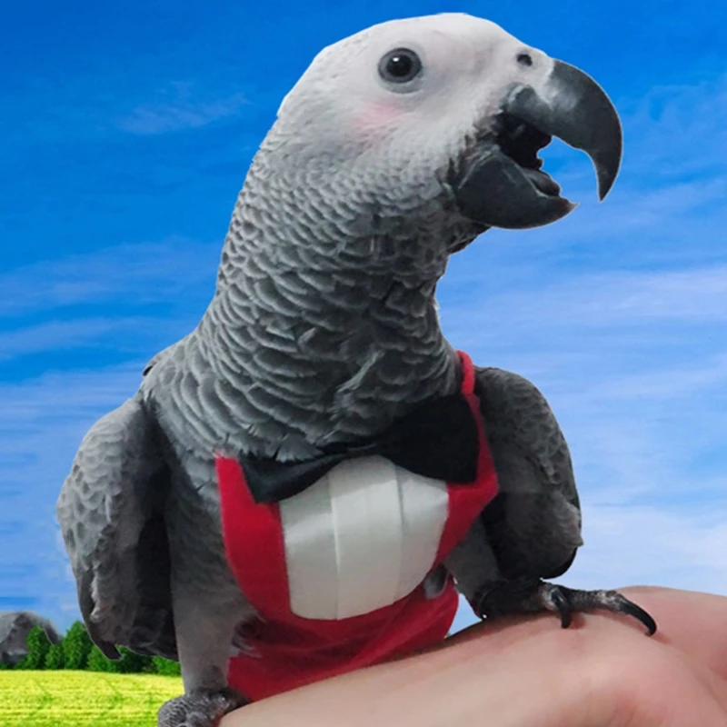 Bird Diaper Flight Suite Protective Parrot Nappies with Waterproof Inner Layer Urine Wet Suit with Bowtie for Birds B03E bird accessories