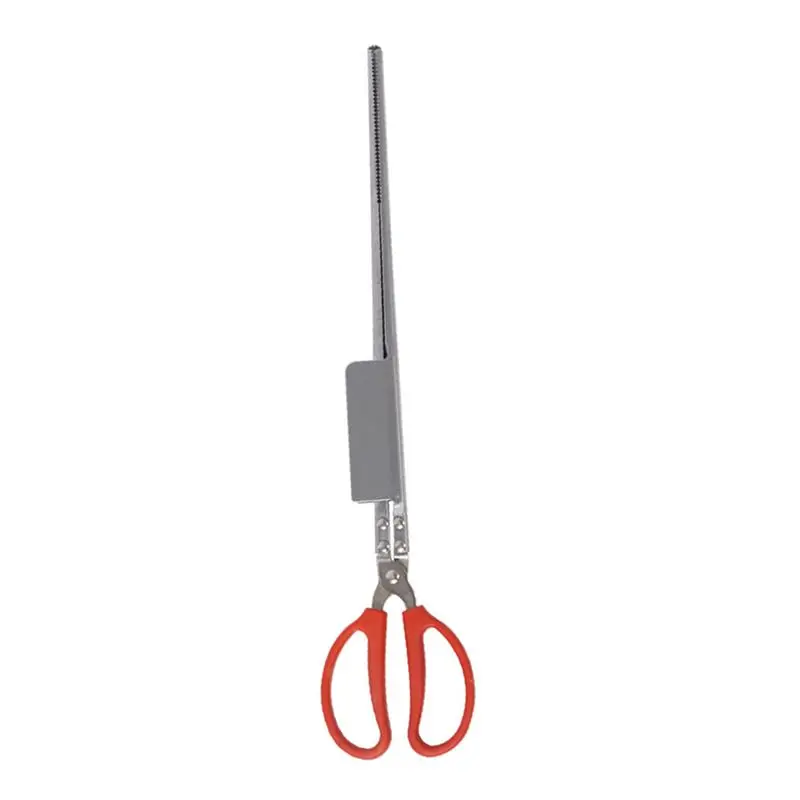 Stainless Steel Eel Tong Crab Non-Slip Clamp Scissor Lobster Clip Side Slip Proof Eel with Loach Crab and Lobster Clip