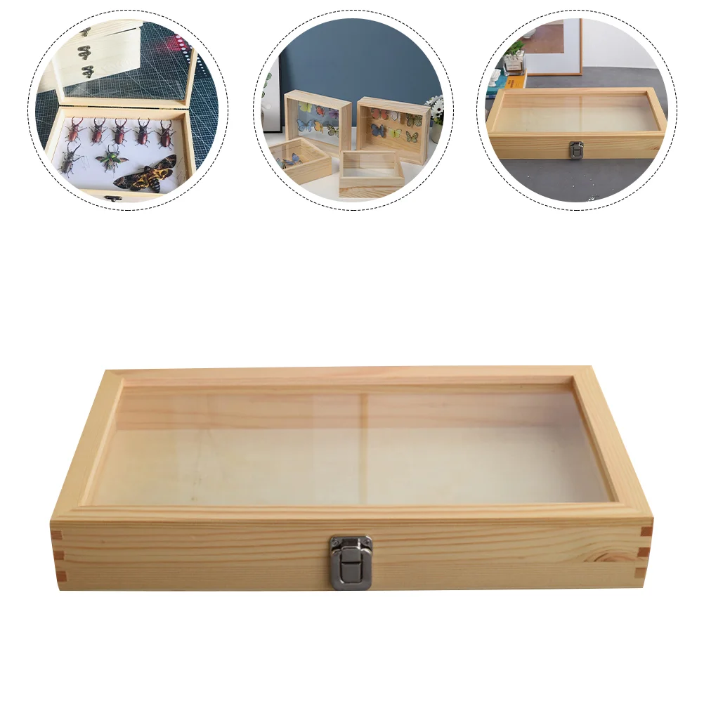 

Insect Specimen Storage Case Glass Photo Frames Wooden Box Vintage Display Dustproof Holder Tray