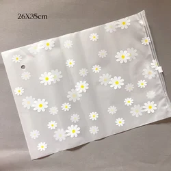 Women's Transparent Travel Organizer Bag for Shoes, Clothes, Cosmetics, and Toiletries (26X34cm)