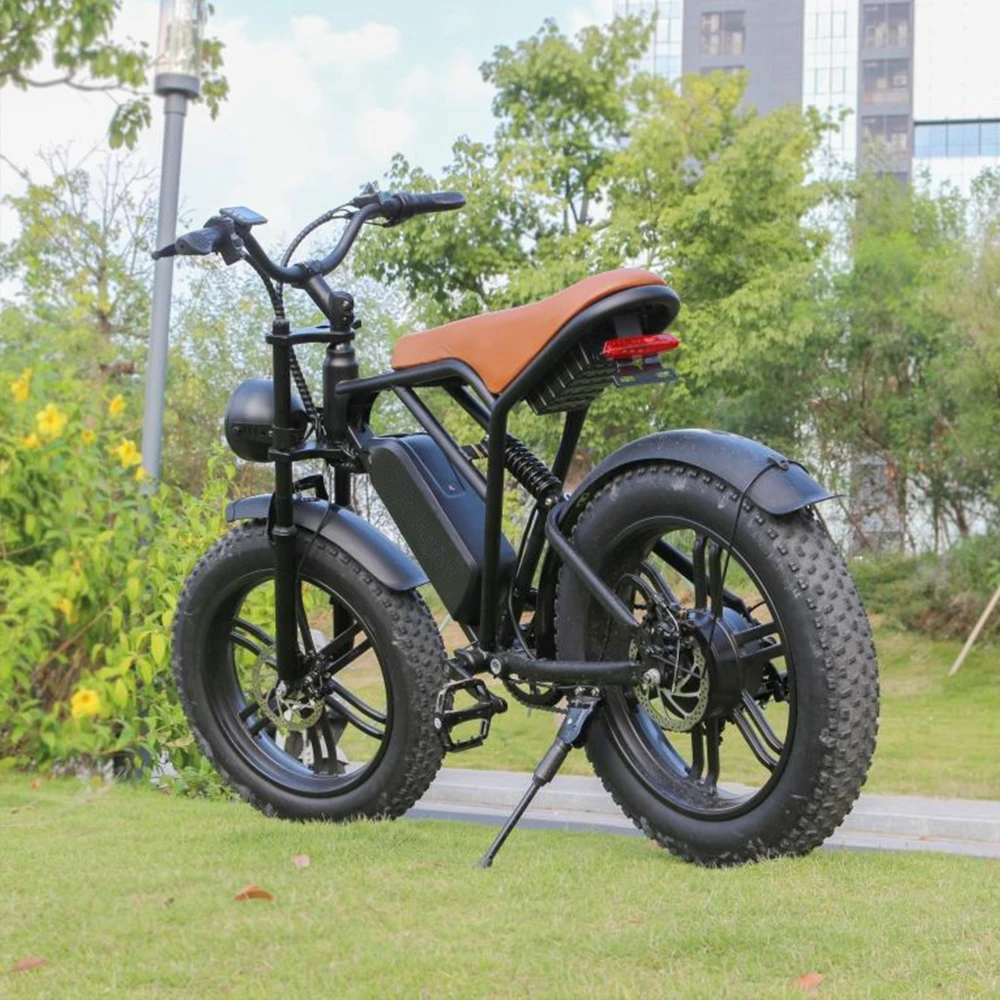 Deren V20 20 Inch Fat Tire Fatbike 750w Ebike Bicycle Electric Bike Electric City Bike For Sale
