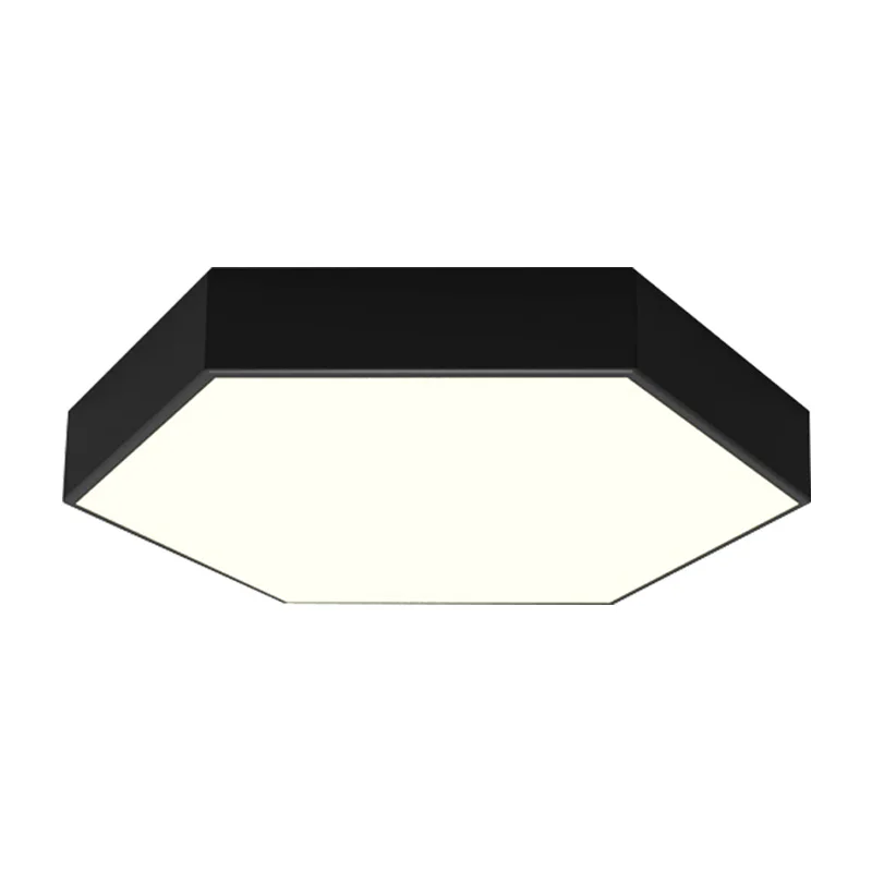 

Modern Surface Mounted Dimmable led light 24W 300mm Voice Smart/Remote Control Lamparas De Techo Surface Mounted Ceiling Lamp