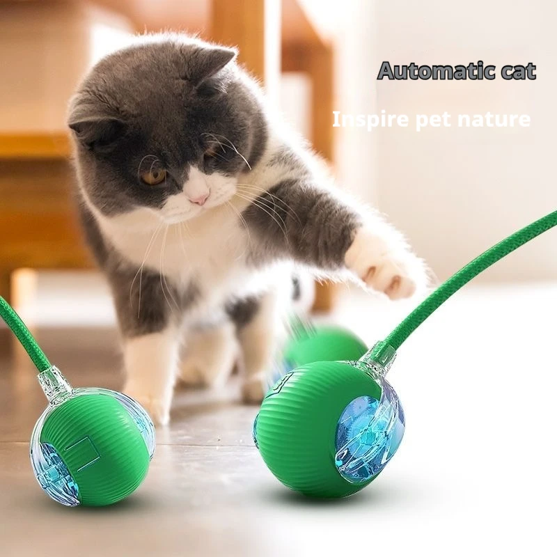 Automatic Rolling Pet Ball 2