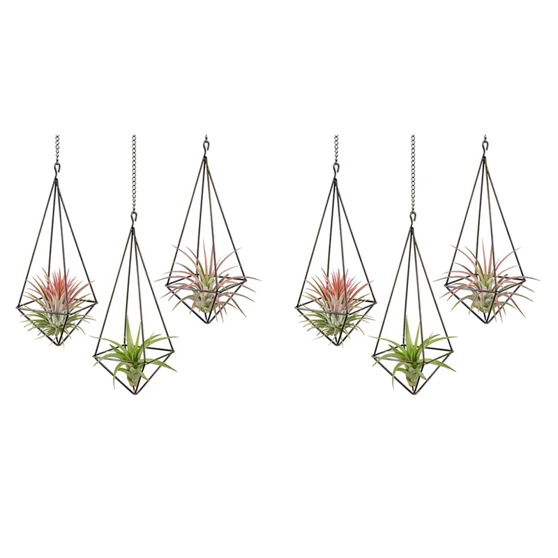 6 Pack Hanging Air Plant Holder Geometric Planter Air Plant Rack Tillandsia Hanger With Chain For Home Decor