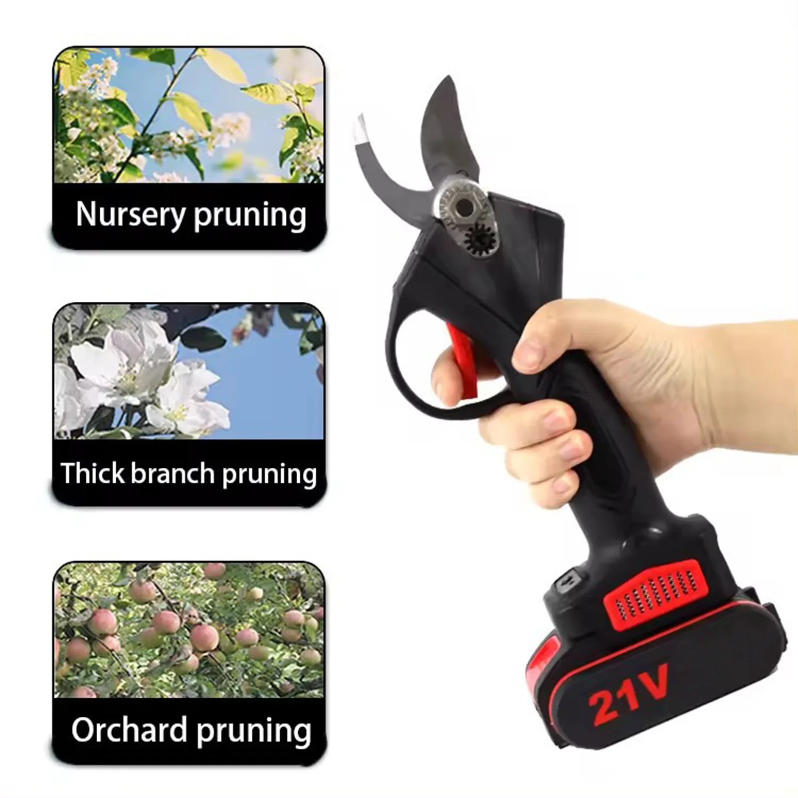 dsc-products