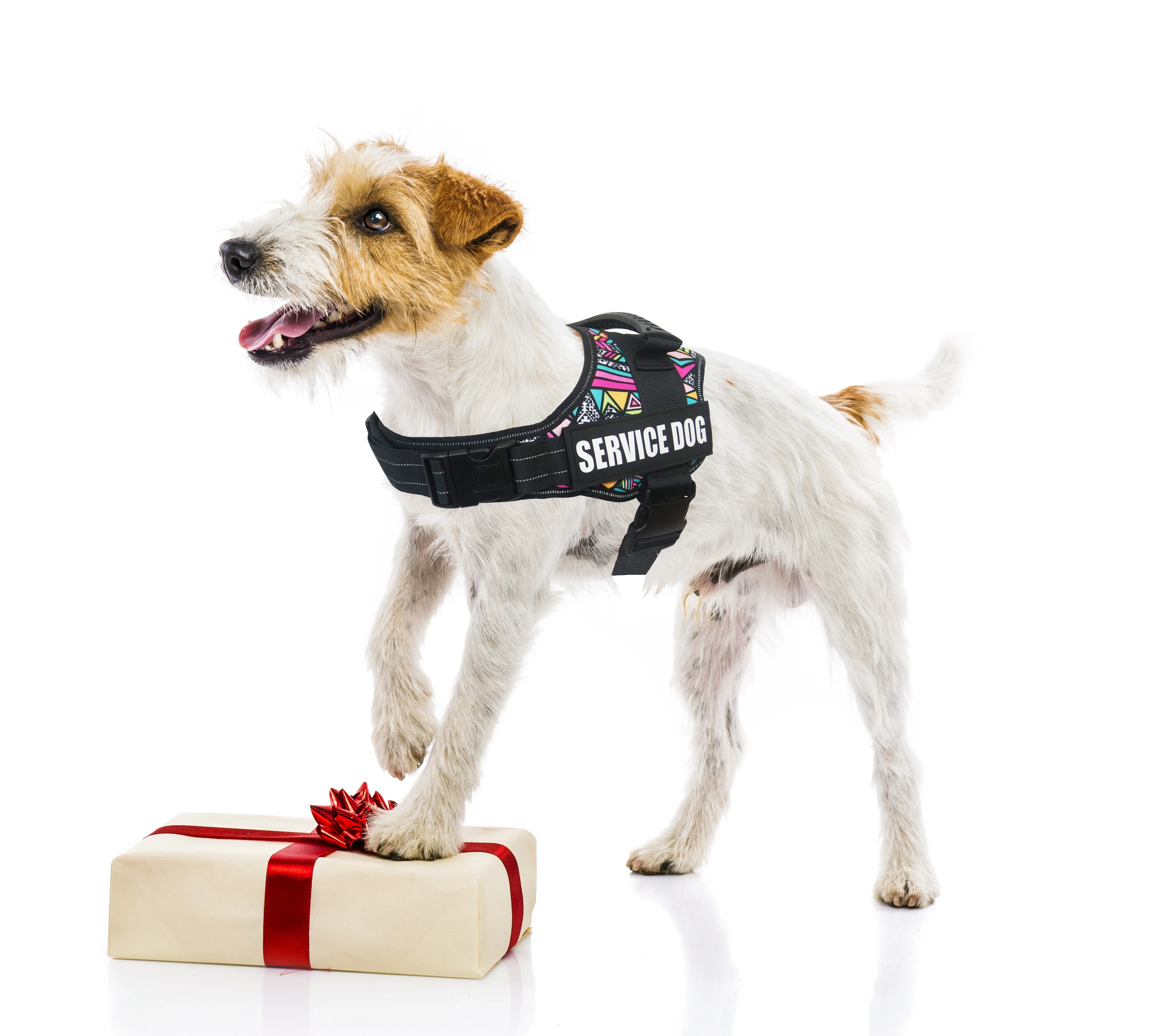 Service Dog Support Harness Vest 6