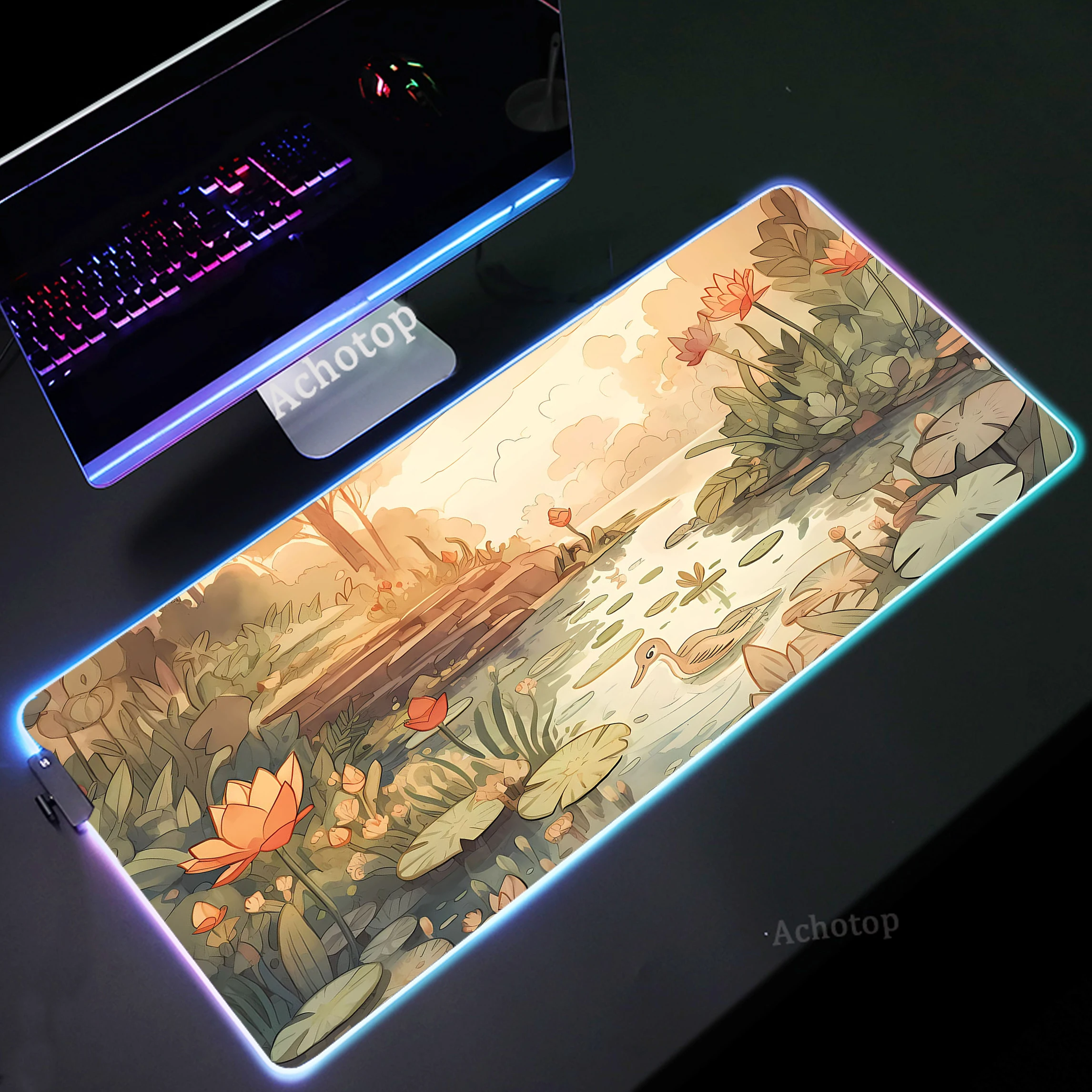 Рисунок 4 - Милый симпатичный коврик для мыши RGB