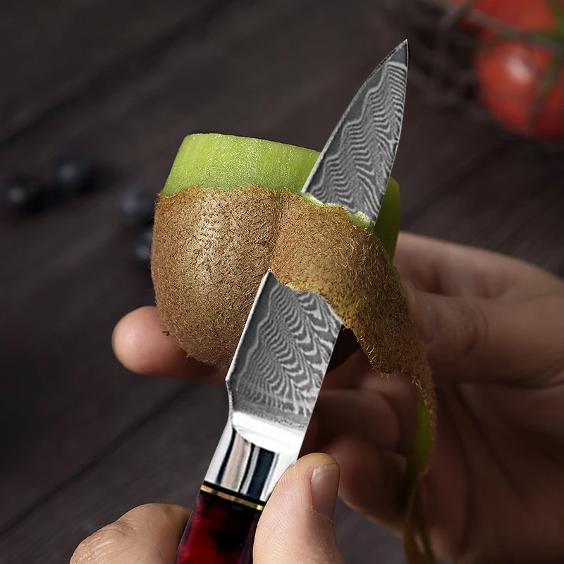Japanese Fruit Knife Resin Handle Laser Damascus Pattern Ultra-Sharp Cutting Vegetable Boning Kitchen Utility BBQ