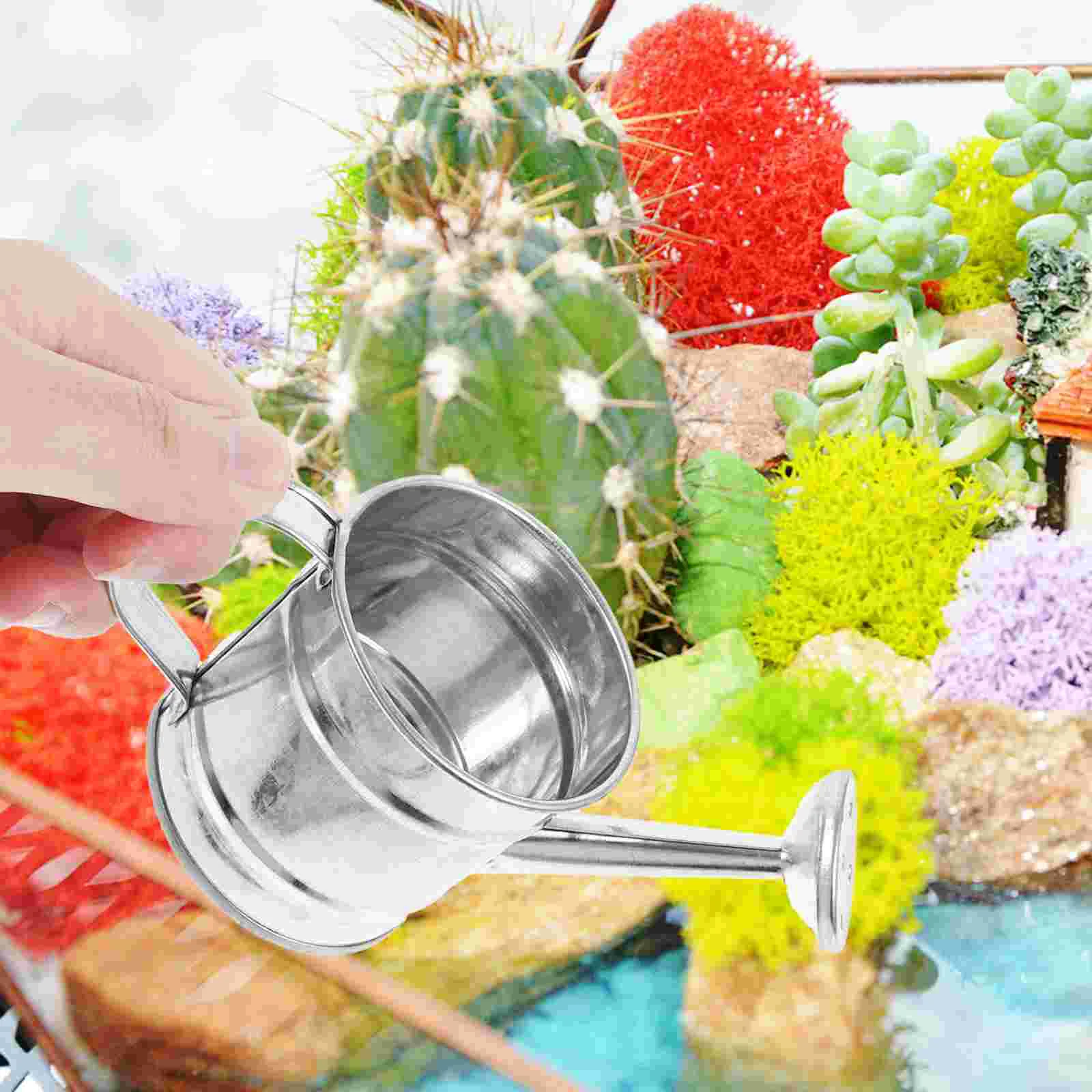 �̴Ͼ�ó ������ �� ���� ��� �峭�� ���Ѹ���, ���� �ٸ��� �׼����� ��� ĵ ��, 5 ��